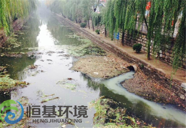 污水處理技術(shù) 污水處理技術(shù)