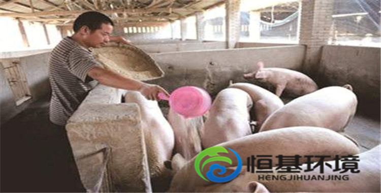 養(yǎng)殖場污水處理 養(yǎng)殖場污水處理