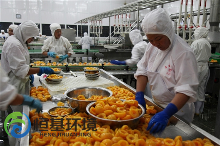 水果罐頭加工廢水處理 水果罐頭加工廢水處理