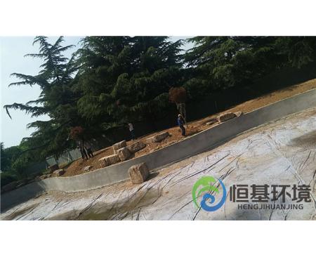 信陽迎賓館濕地工程—景觀樹種植
