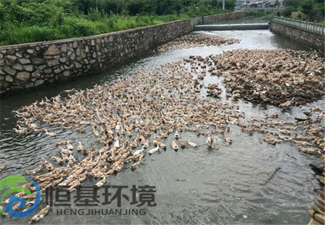 污水處理工程 污水處理工程